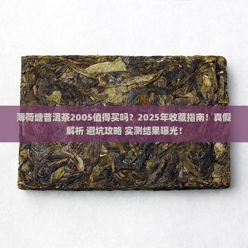 薄荷塘普洱茶2005