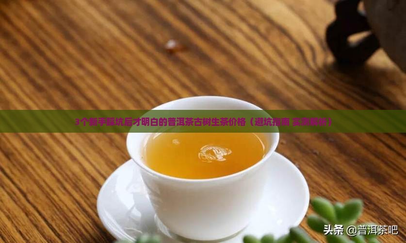 普洱茶古树茶生茶价格