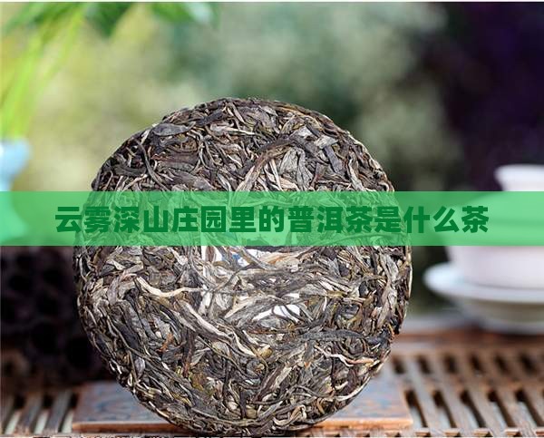 云雾深山庄园里的普洱茶