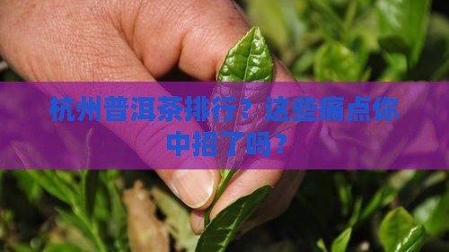 杭州普洱茶品牌排行