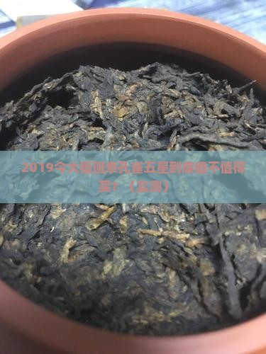 2019今大福班章孔雀五星
