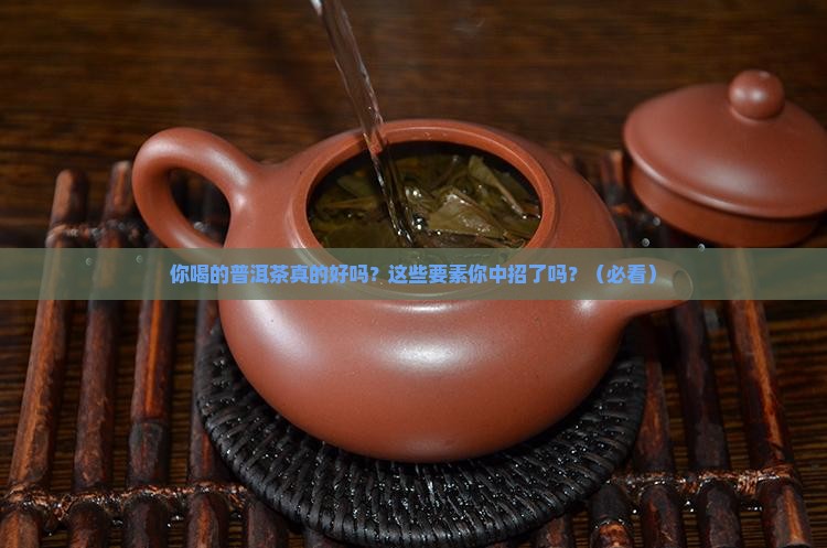 好的普洱茶需具备哪些要素