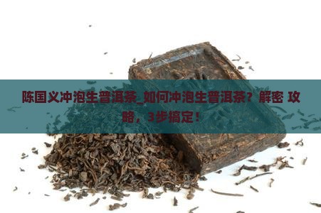 陈国义冲泡生普洱茶