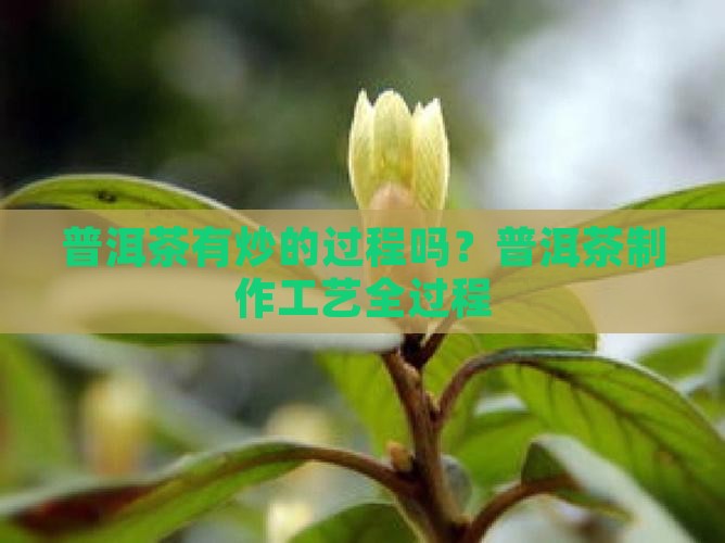 普洱茶有炒的过程吗