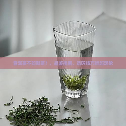 普洱茶不如新茶