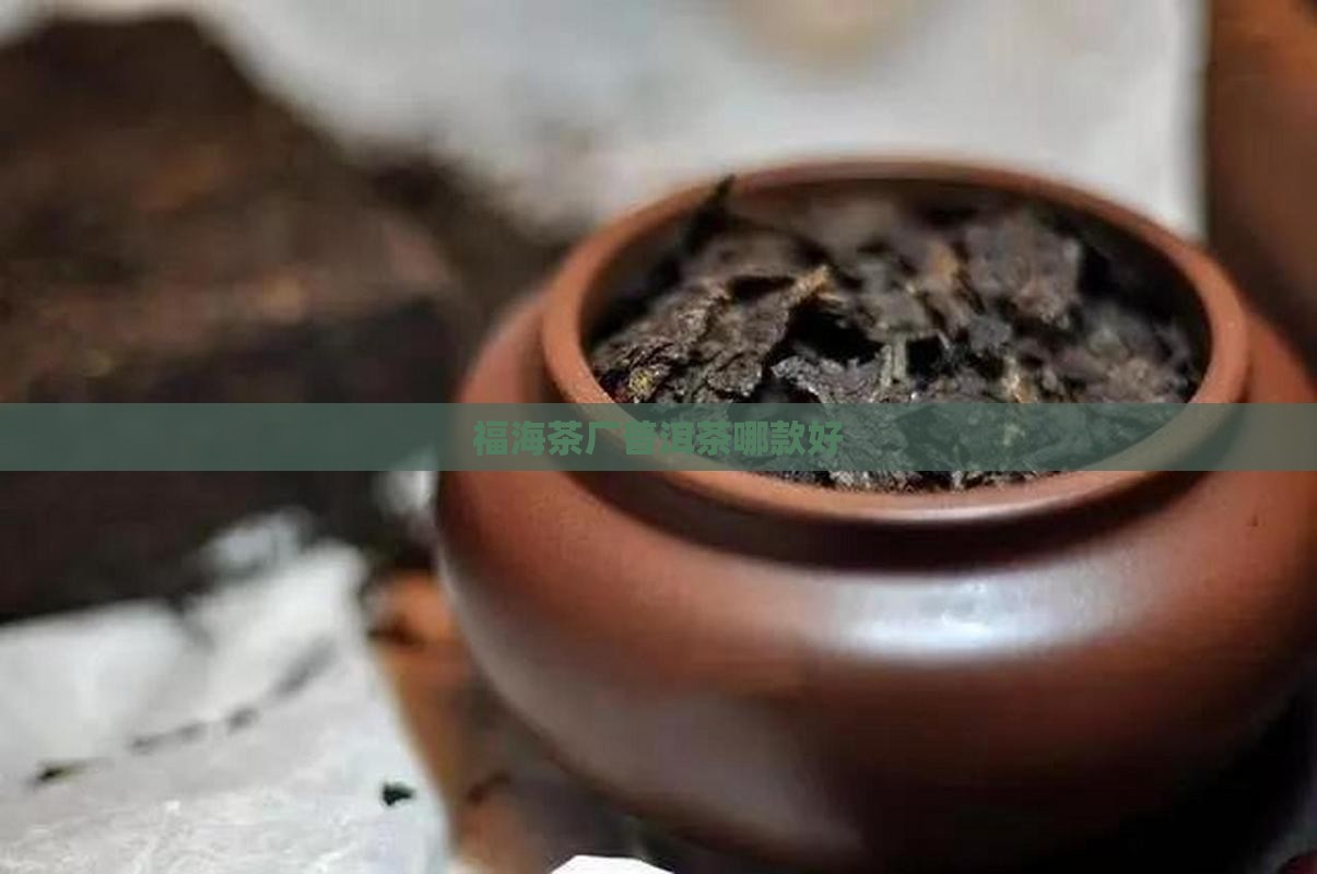 福海普洱茶哪款好