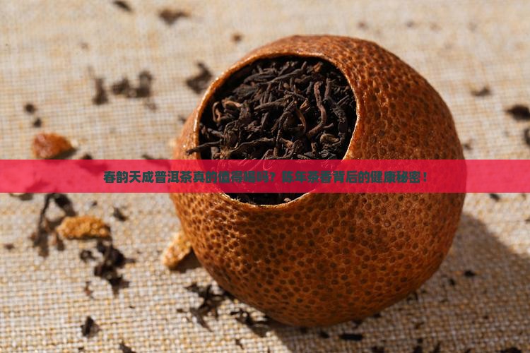 春韵天成普洱茶