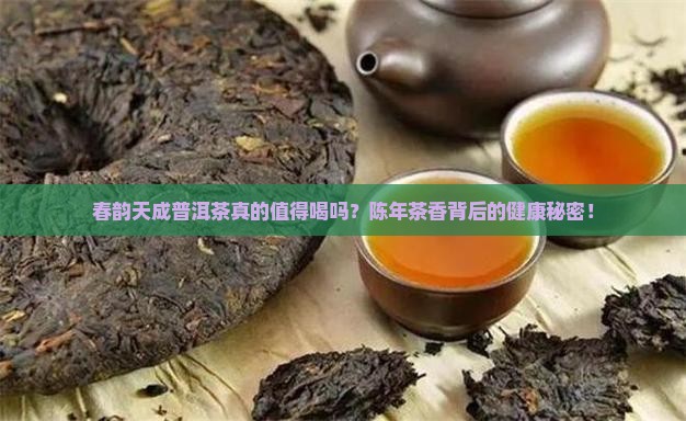 春韵天成普洱茶