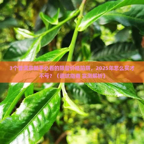 限量普洱茶价格