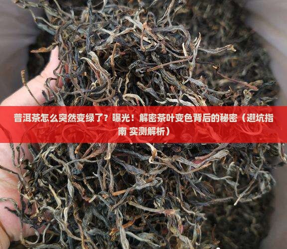 普洱茶变绿色是怎么回事
