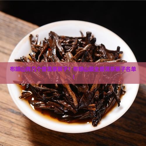 布朗山有几个普洱茶寨子