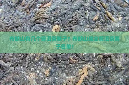 布朗山有几个普洱茶寨子