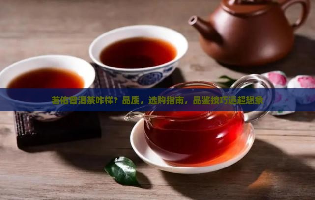 茗佑普洱茶咋样