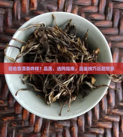 茗佑普洱茶咋样