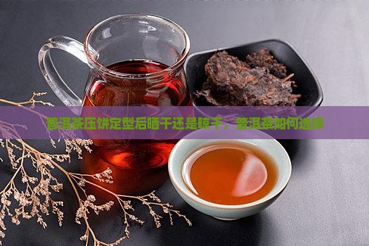 普洱茶压饼定型后阴干还是晒干