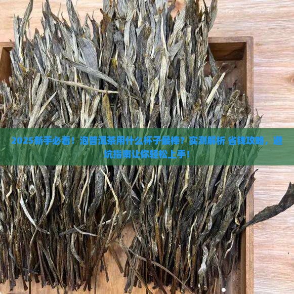 普洱茶怎么泡用什么茶杯