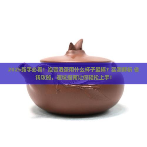 普洱茶怎么泡用什么茶杯