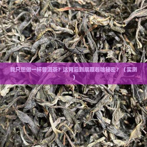 我只想做一杯普洱茶什么意思