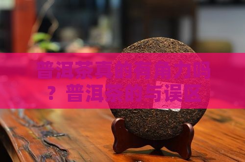普洱茶真的有角力吗