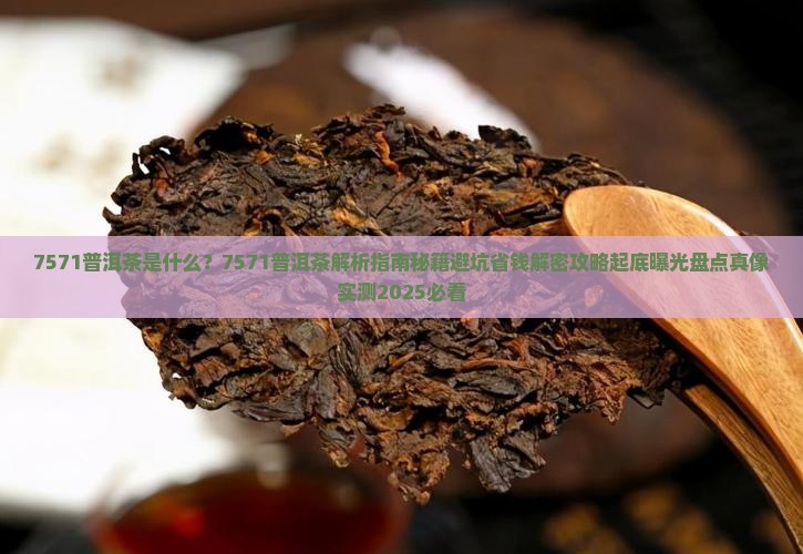7571普洱茶什么意思