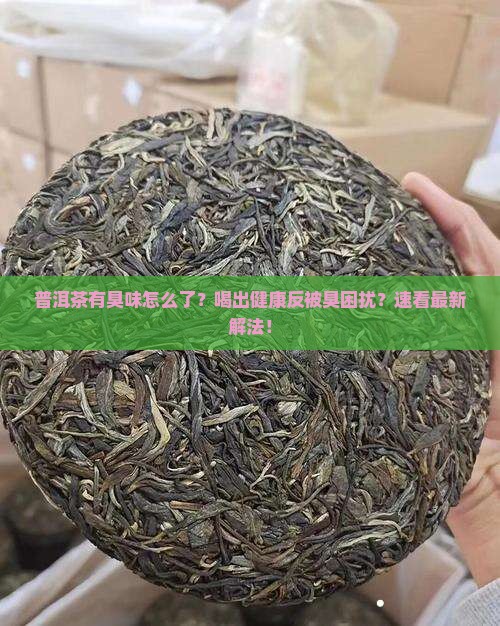 普洱茶有臭味怎么了