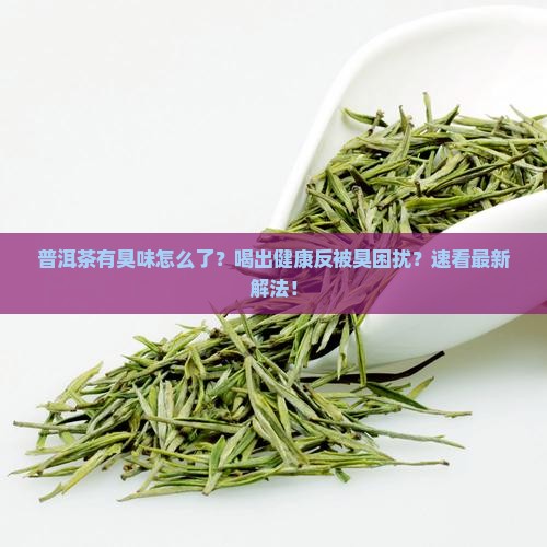 普洱茶有臭味怎么了