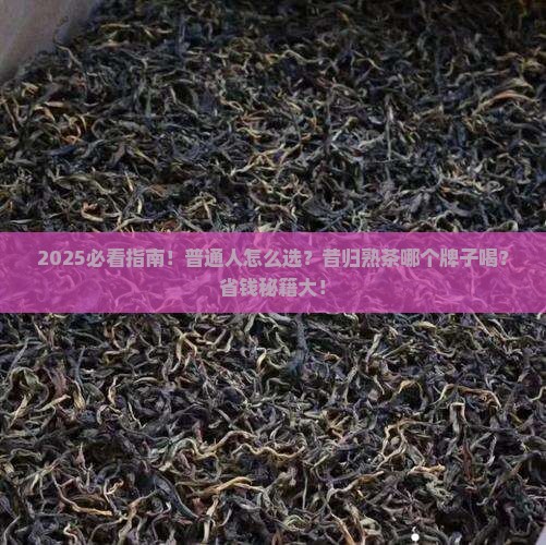 昔归普洱熟茶什么品牌好