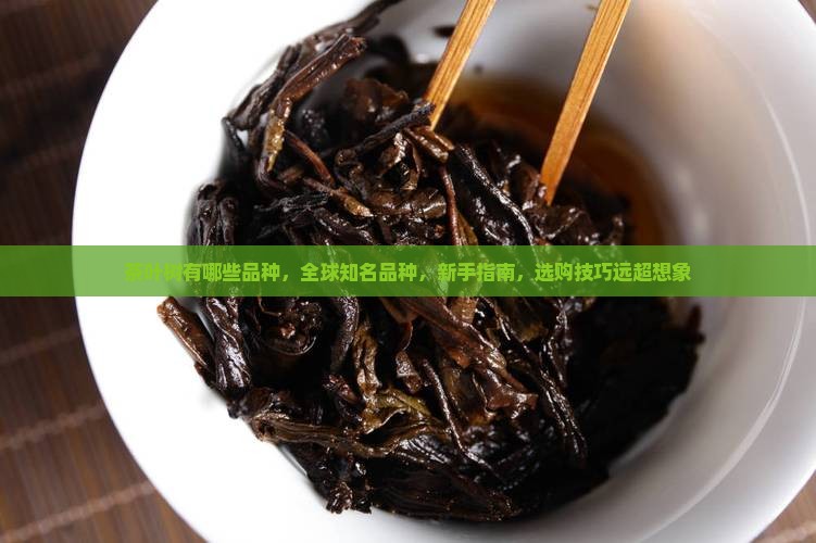 茶叶树有哪些品种