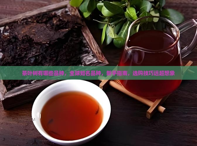 茶叶树有哪些品种