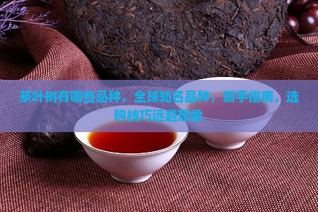 茶叶树有哪些品种