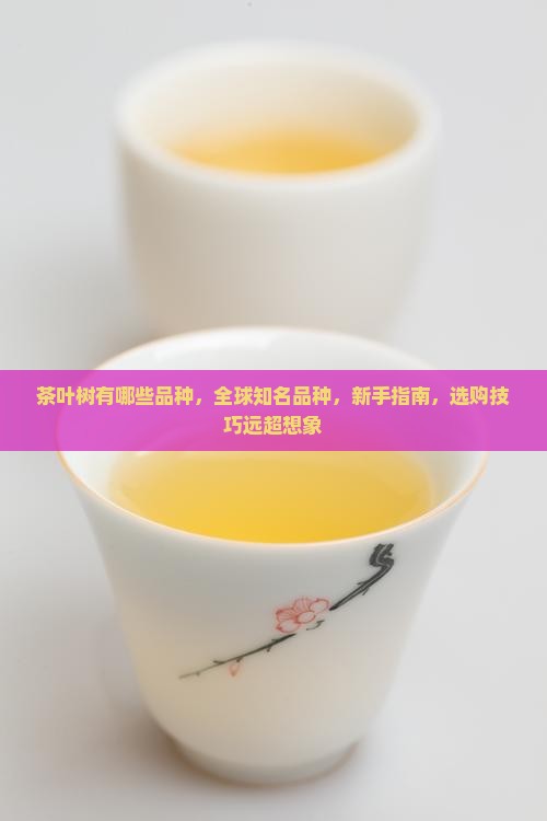 茶叶树有哪些品种