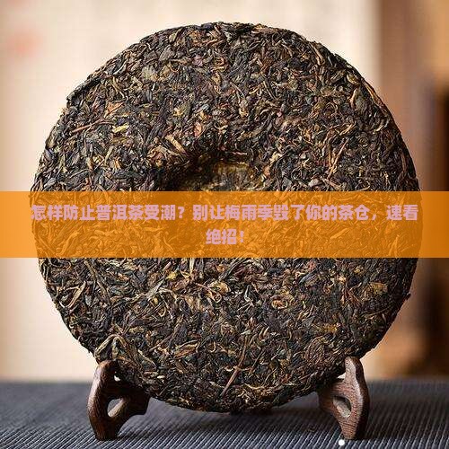 怎样防止普洱茶受潮