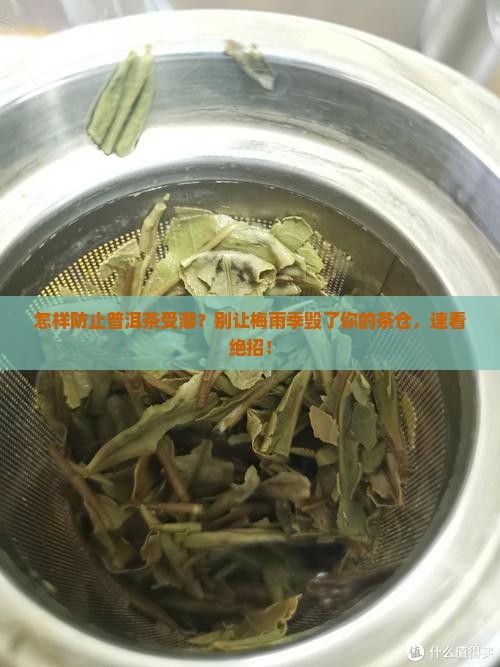 怎样防止普洱茶受潮