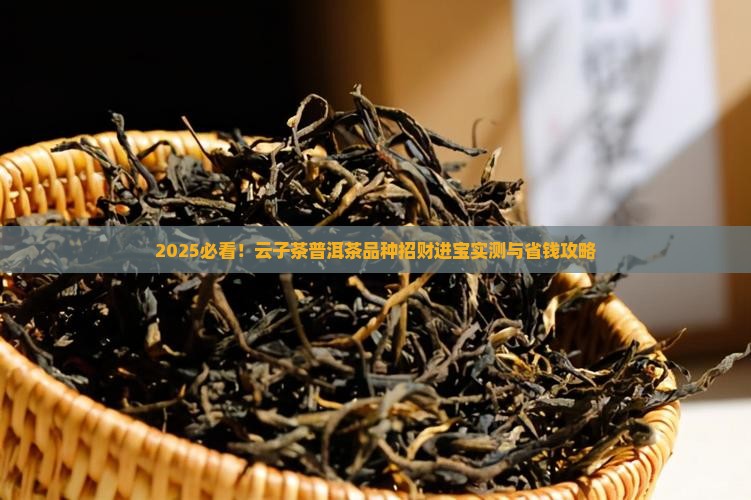 云子茶普洱茶品种招财进宝