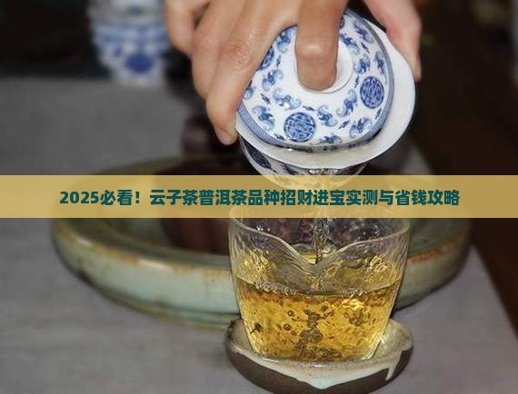 云子茶普洱茶品种招财进宝