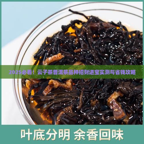 云子茶普洱茶品种招财进宝