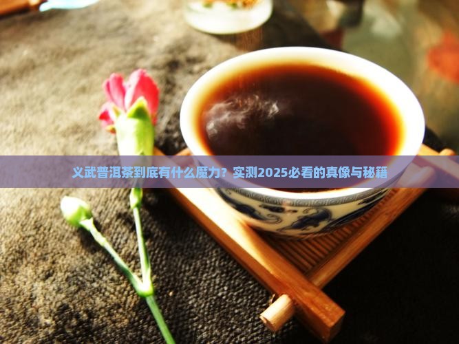 义武普洱茶的特性特征介绍