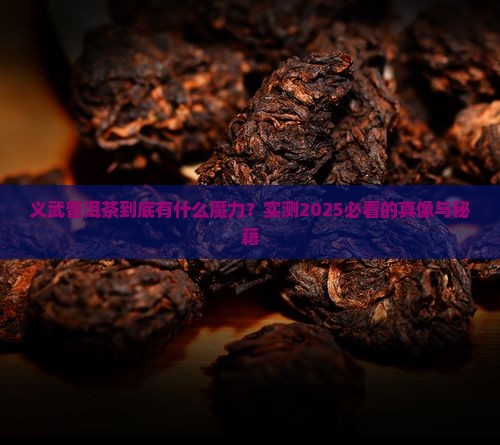 义武普洱茶的特性特征介绍