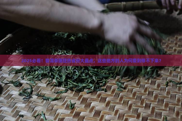 普洱茶受欢迎的哪几个省份