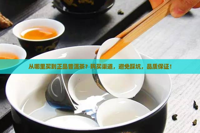 从哪里买到正品普洱茶