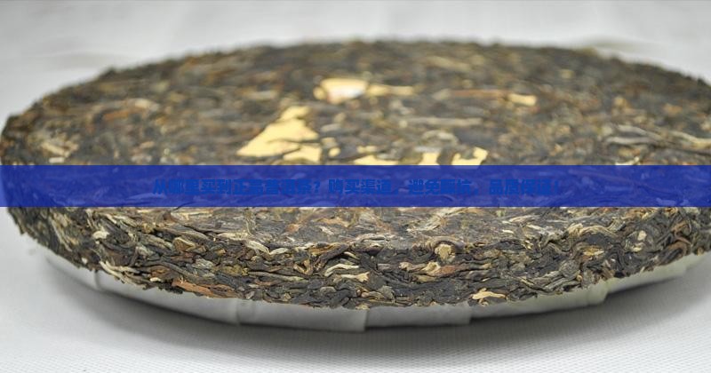 从哪里买到正品普洱茶