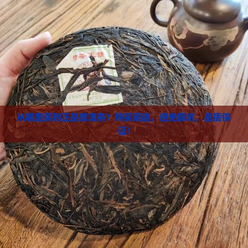 从哪里买到正品普洱茶