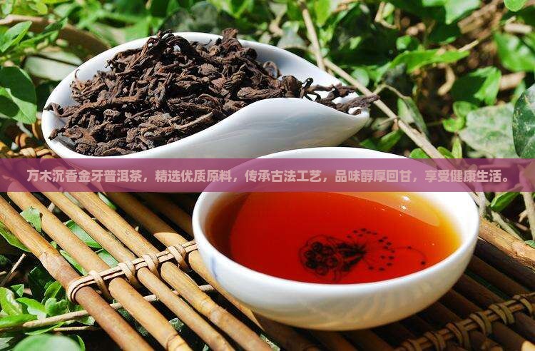 万木沉香金牙普洱茶
