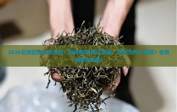 云南勐海白茶不宜喝 云南勐海白茶不宜喝