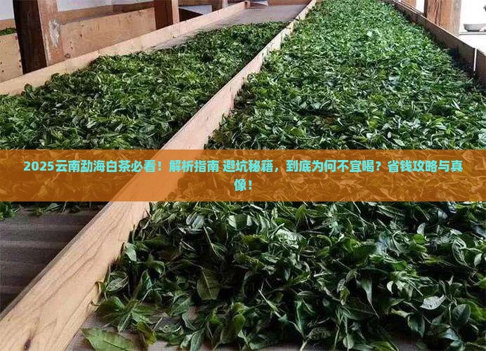 云南勐海白茶不宜喝 云南勐海白茶不宜喝