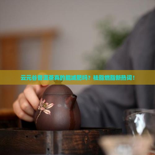 云元谷普洱茶作用