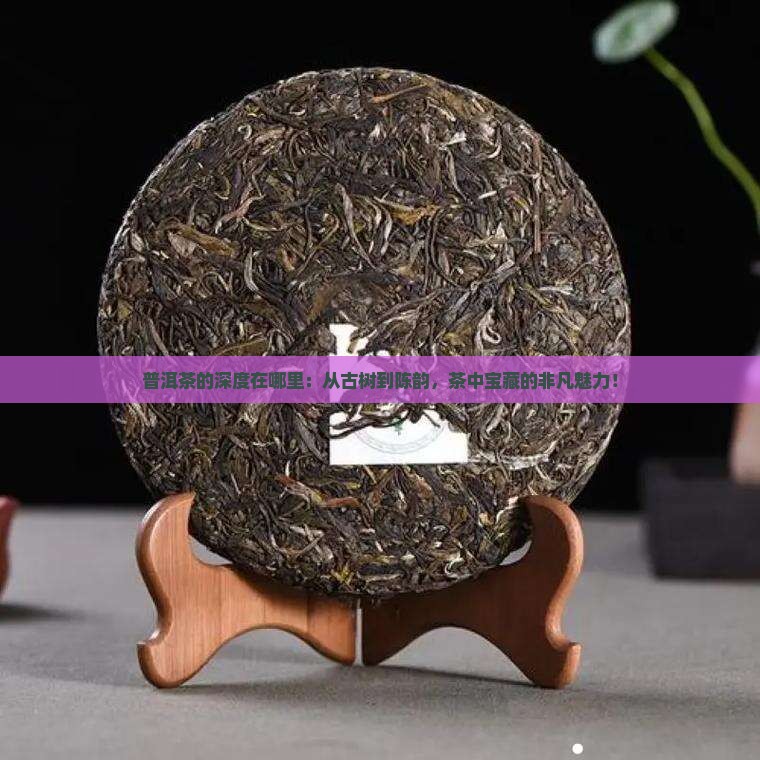 普洱茶的深度在哪里