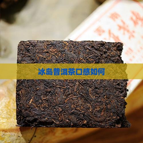 冰岛乔木普洱茶好喝吗怎么样