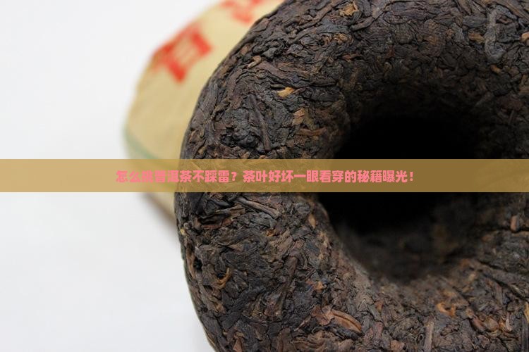 怎么从茶叶分辨普洱茶好坏