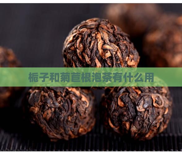 栀子和菊苣根泡茶有什么用